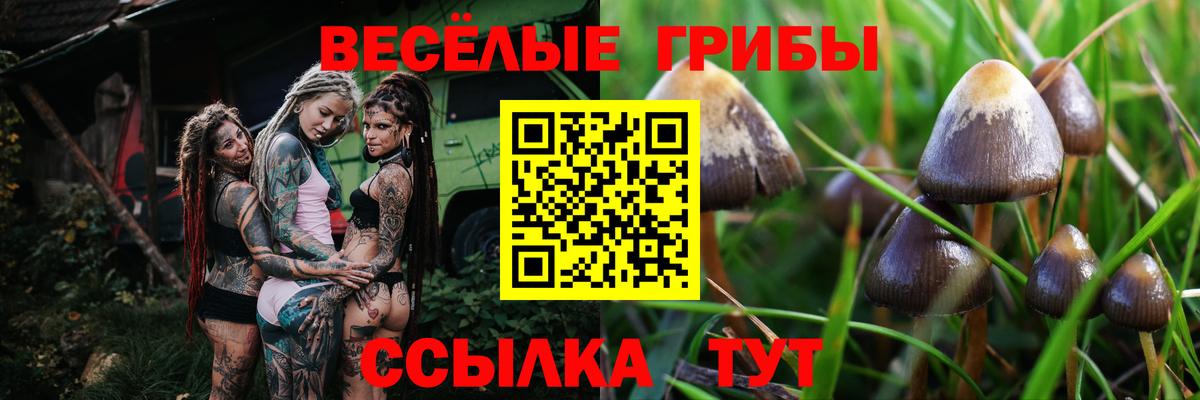 даркнет сайт  Галлюциногенные грибы Cubensis  Вход с VPN  Галлюциногенные грибы Psilocybine cubensis  Коркино 